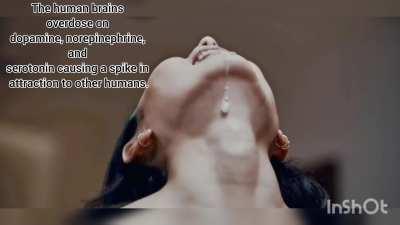 Life on Keplar 22-b 👽 (Part )