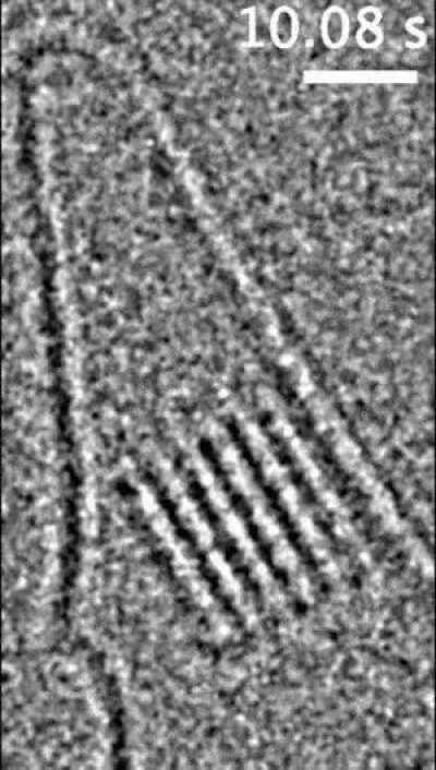 First-ever atomic resolution video of salt crystals forming in real time (nucleation)