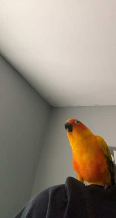 even terry knows this is heat