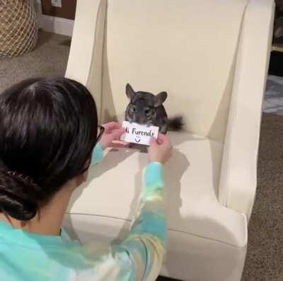 Not really a close up of the grabbies but grabbies none the less