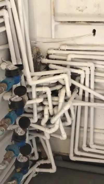 Esse video me causa dor