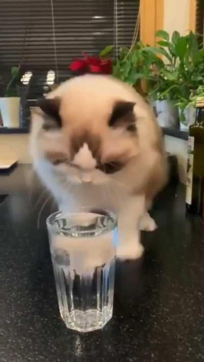 Doing his little water dance