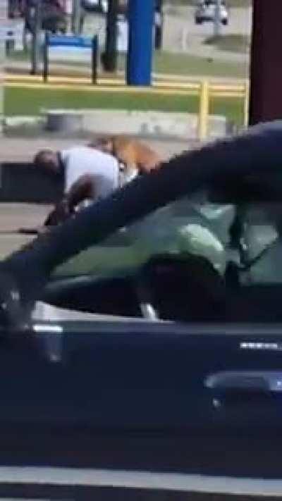 this is actually a fight 