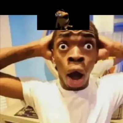 Since you liked so much my other post, here is a meme compilation made by me