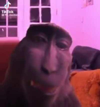 an interesting title