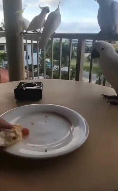 kInD mAn BeTrAyEd By ViOlEnT mOb 