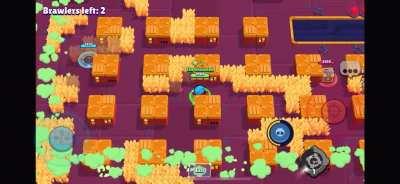 Funny Mr.P bug in Skull Creek