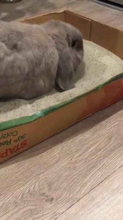 I think I’m gonna need a deeper dig box