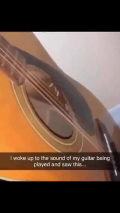 skibidi musical wunk