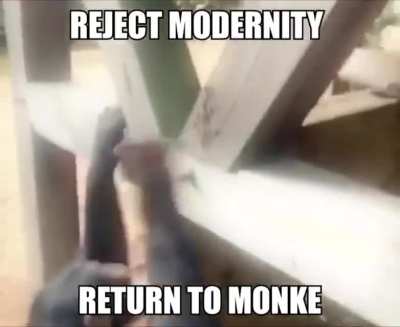 Reject humanity, return to monke