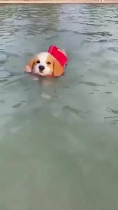 Swim time!