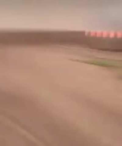 Birb trying to catch the camera