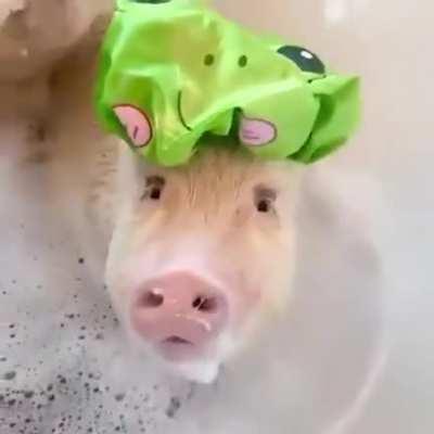 Guess, I'm a frog now..