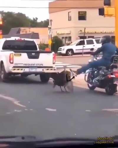 Somebody... Help him please!!