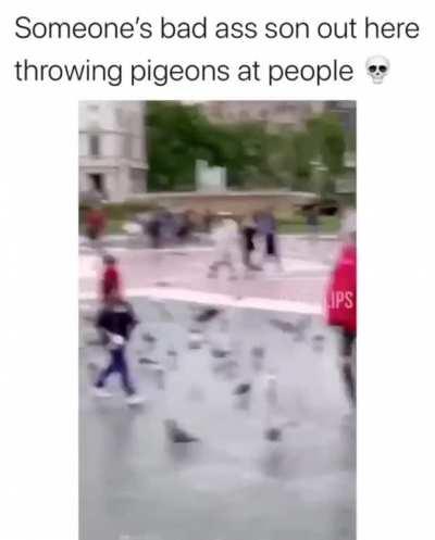 The parents are condom ads too.