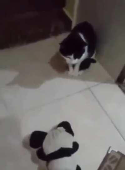 Ninguém merece Felipe!