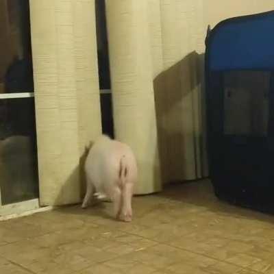 Good to know I'm not the only one that does this