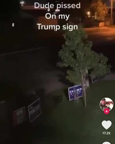 Peeing on the Trump sign? Bad idea...