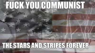 A PSA for the brigading commies.