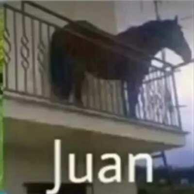 juan?