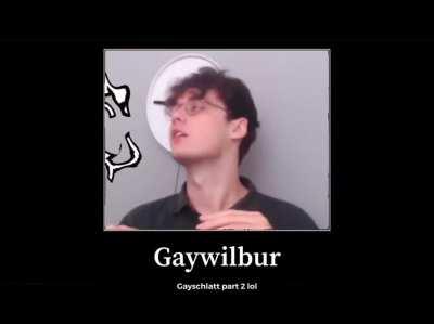 Gaywilbur