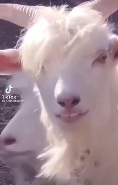 Gen Z with cringe haircuts