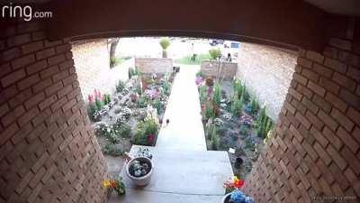 Quick thinking by this mother