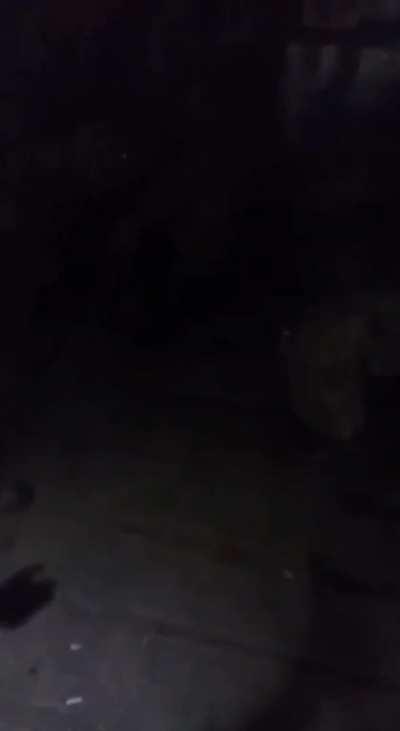 Commander grenades his troops after they refuse to follow orders.