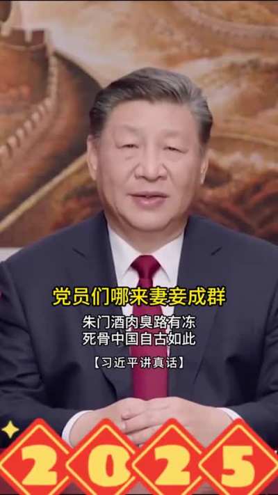 习主席新年贺词真话版（2）