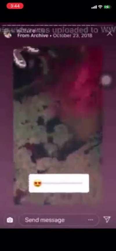 I wish she twerked this hard in videos