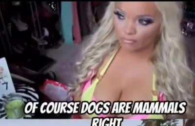 I bet she herself has no brains