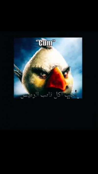 Bob Wicks uses his All Purpose Sauce to flavor his mulched bodies