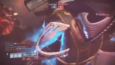 A most wholesome moment in a time of great bloodshed.