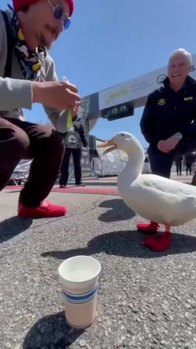 Duck runs in a marathon and gets a medal