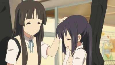 The world's luckiest cat