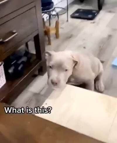 You don't have to see the whole staircase, just take the first step