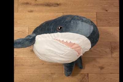 Dance dance Blåhaj, dance !