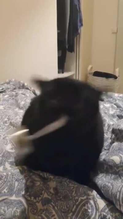 An adorable inky blob being derpy