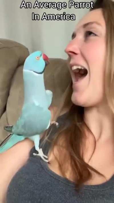 Adhi saar ayana rangeuuuu