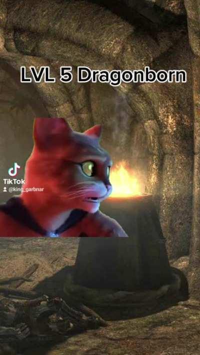 I was way underlevel for that fight