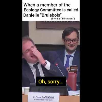 Most serious French lawmakers