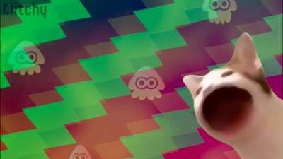 Everytime i hear the Splatoon 2 loading screen