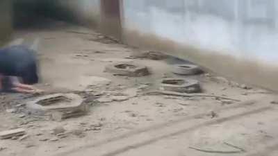(NSFL) Man tried to feed a sloth bear some lunch at a temple. Animals being animals may be a poorly written rule.