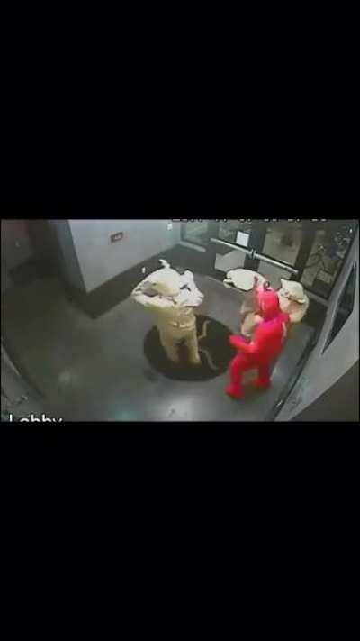 Rug was stolen and returned a week later, CCTV of how it was returned