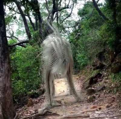 cursed_creature