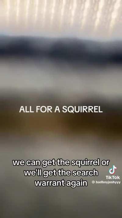 Apparently rescuing a squirrel is HIGHLY illegal in California