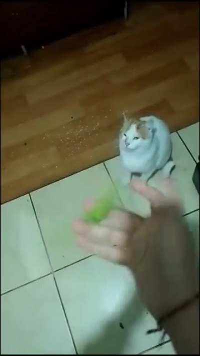 You ever do this and think “