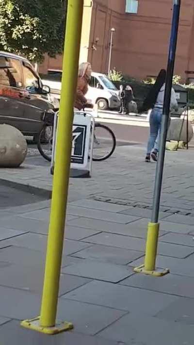 The lion cub of Cintra