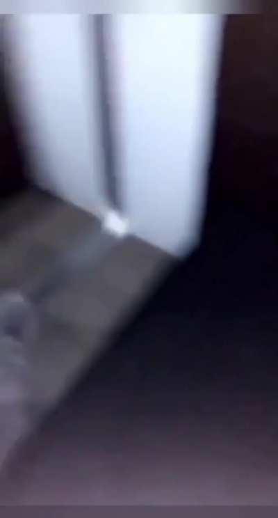 Perth Māori girl Aaliyah