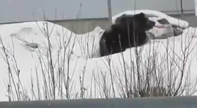 Big bear approaching me hmmmm think I’ll stay on the phone